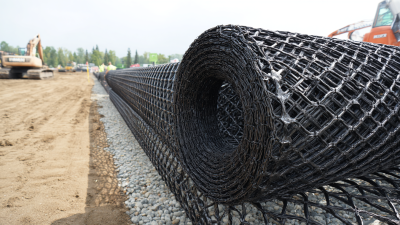 10 Essential Tips for Utilizing Hdpe Geonet in Your Next Construction Project