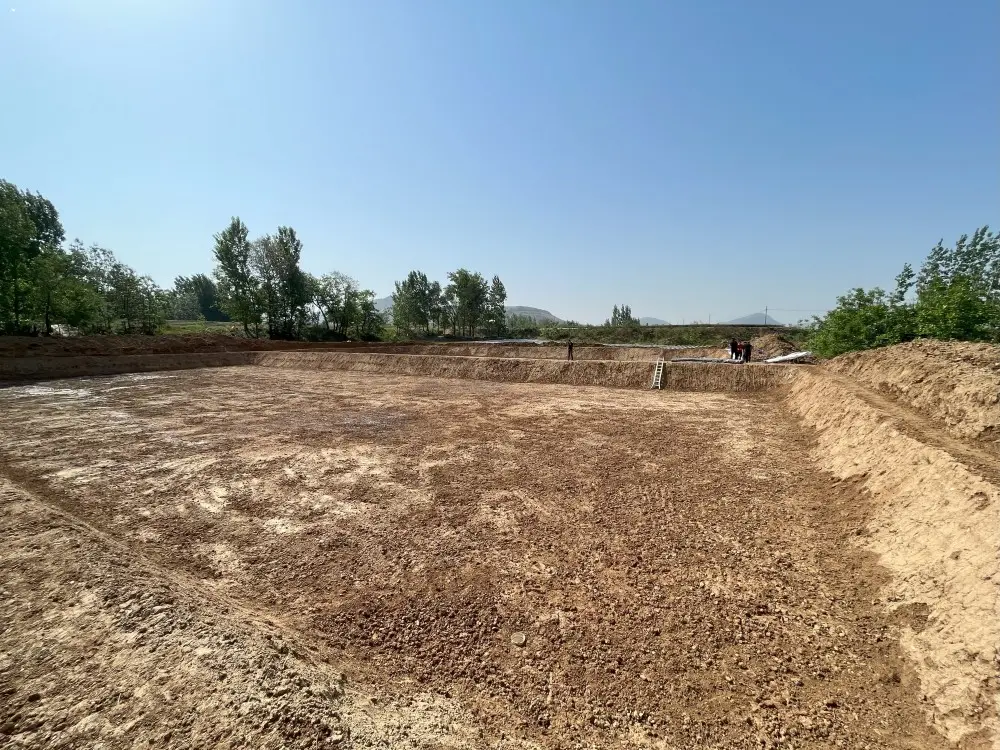 The application of geomembrane in anti-seepage of reservoir projects (2).jpg