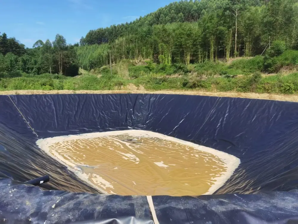 The application of geomembrane in anti-seepage of reservoir projects