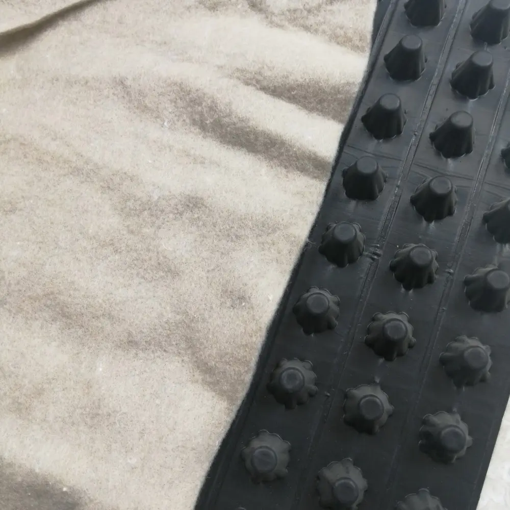 Water Accumulation And Drainage Plate Concave and Convex Drainage Cell (2).jpg