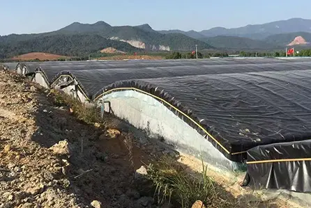 Greenhouse shading project